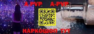 стаф Кингисепп