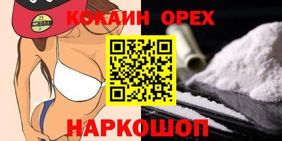 стаф Кингисепп