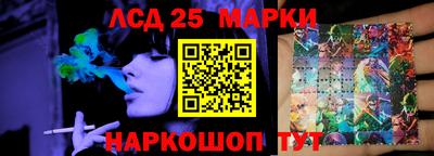 стаф Кингисепп