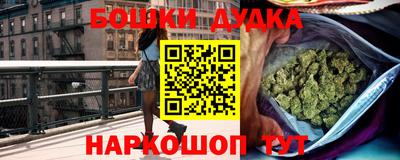 стаф Кингисепп