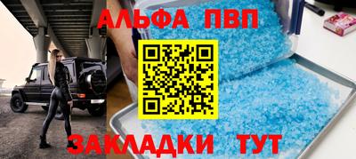 стаф Кингисепп